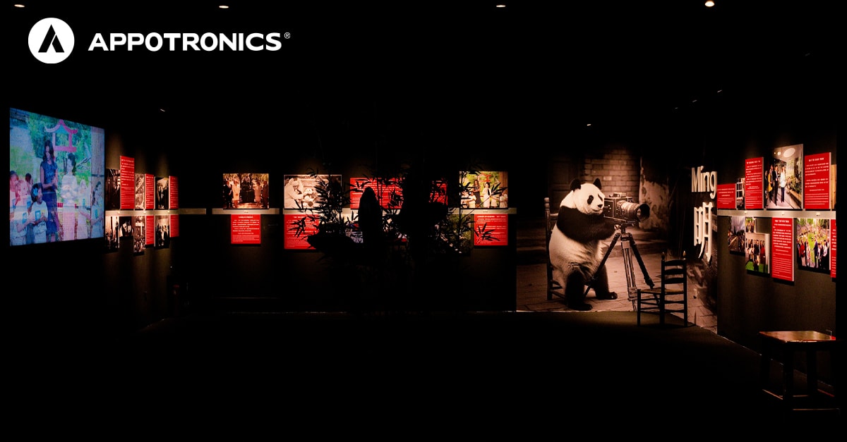 1200-杜星球-2 拷贝.jpg