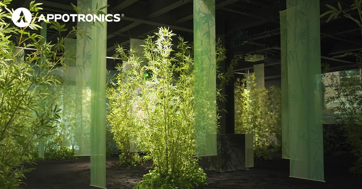 1200-杜星球 -4拷贝.jpg